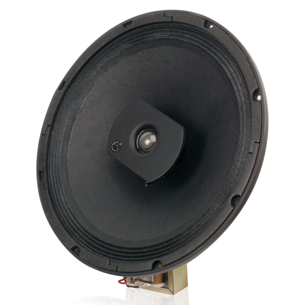 C12BT60 Speaker